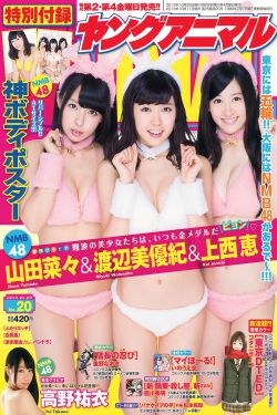 平凡之路电视剧免费观看完整版高清