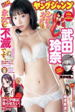 财神有道电视剧全集
