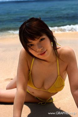 AV毛片免费无需下载