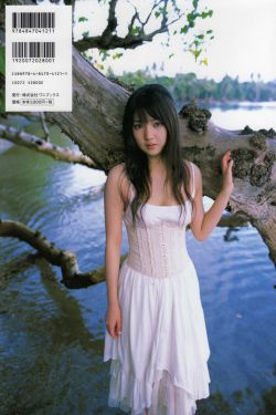 三妻四妾高清在线观看