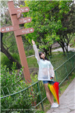 二次元黄