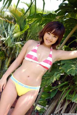 亚洲欧美v国产一区二区