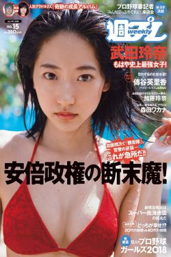 前行者电视剧免费观看