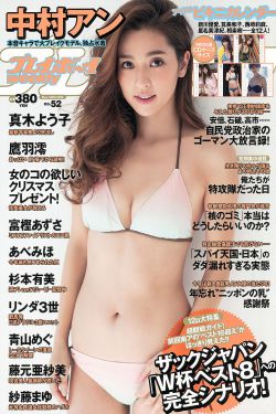 流星的双子