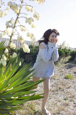 大公狼和黄蓉